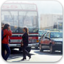 Travel and Transportation